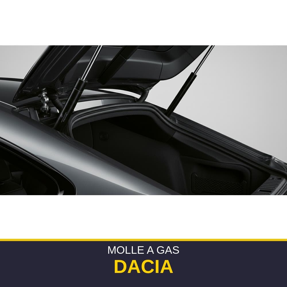 Molla a gas Dacia