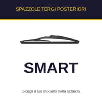 Spazzole tergi posteriori Smart