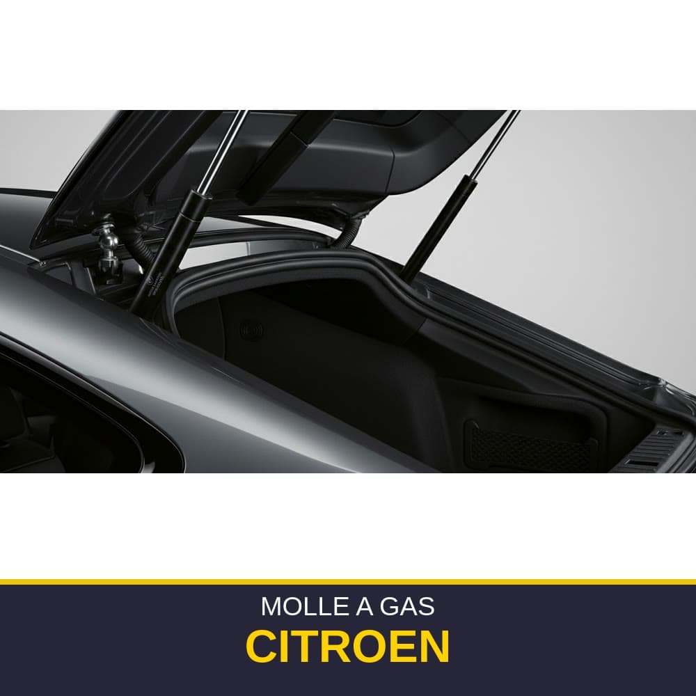 Molla a gas Citroen
